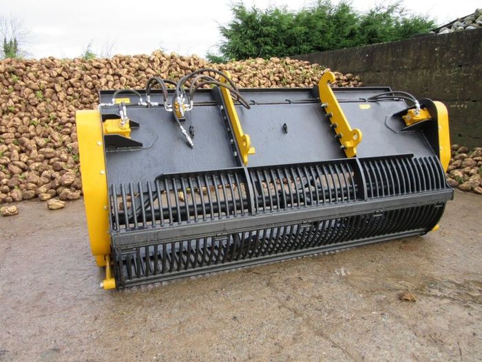 Campion Beet Washer