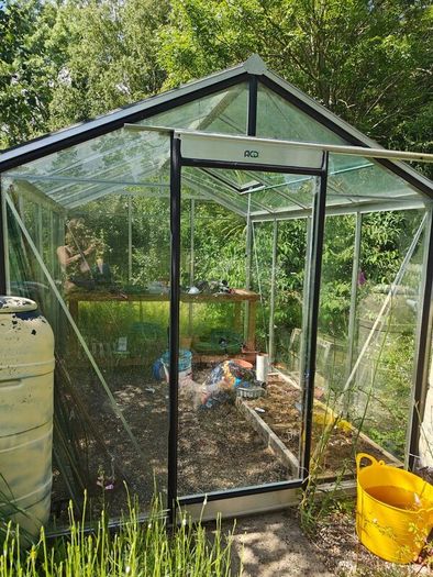 Green house  domestic garden