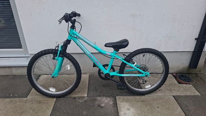 20 in kids bike