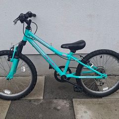 20 in kids bike