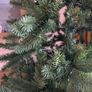 Christmas tree Image 3