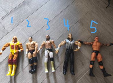 WWE Figures