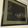 Framed Picture Image 3
