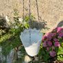 Hanging basket Image 4