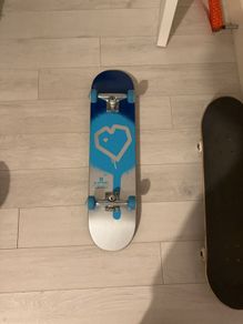 Skate board