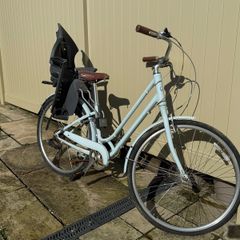 Giant bike