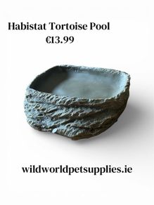 Habistat Tortoise Pool