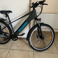 Electric bike
