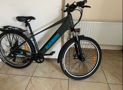 Electric bike