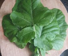 Texsel Greens (Ethopian Mustard) - Irish Seeds