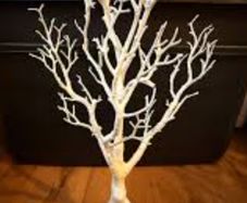 wishing tree table + decor