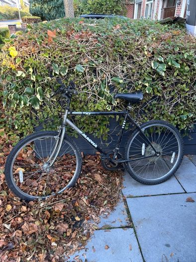 Man's bike going for free