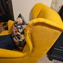 Wingback chair (yellow IKEA) Image 3