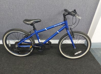 Raleigh 20
