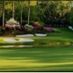 Golf exotics