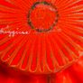 Handmade Poppy-Shaped Plate - Floral Design Glass Dish as Trinklet dish signed Image 10