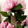 BNWT Paul Costello artificial peony stem decorative flowers_ home decor Image 4