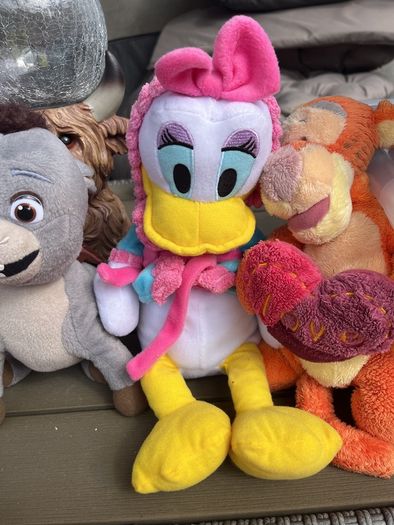 teddies