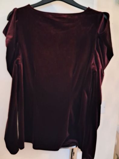 Ladies top