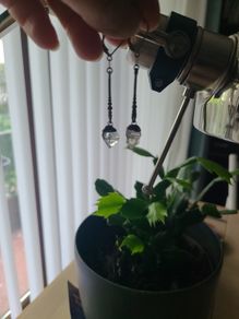 Earrings, Herkimer Dangle Earrings w/ Sterling Silver Hooks
