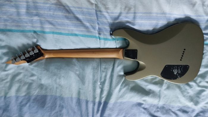 ESP Ltd Guitar + TronicalTune Tuner