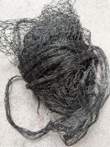 Cat net