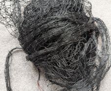 Cat net