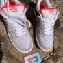 Nike Dunk Low Pro SB Infrared Image 2