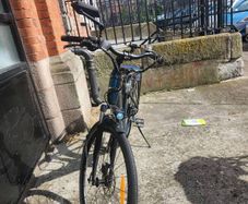 Fiido C11 electric bike for sale