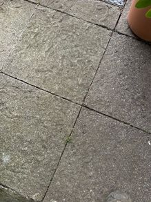 paving slabs