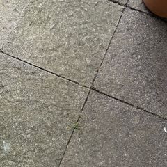 paving slabs