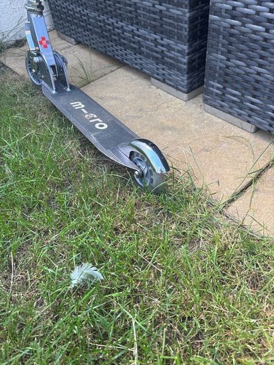 mirco scooter