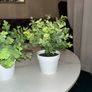 Small Artificial Plants Image 2