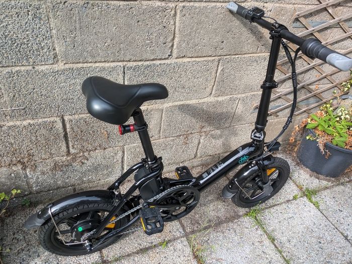 Fiido D3 Pro Electric Bike
