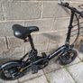 Fiido D3 Pro Electric Bike Image 3