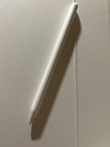 Apple Pencil USB-C (white)