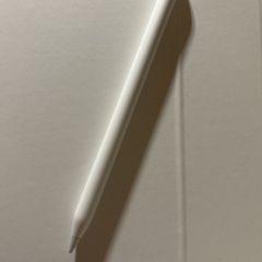 Apple Pencil USB-C (white)