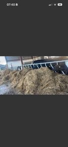 3 or 4 bay dry bedded shed
