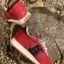 Get Premium Latest Edition Saucony Jazz OG Image 3