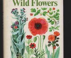 The Illustrated Book of Wild Flowers. S. Arwy and M. Gregory