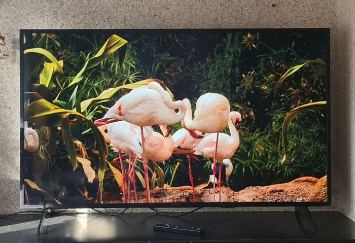 Sony 55 4K Android Smart TVKD-55XH8096  Excellent Condition