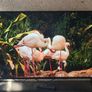Sony 55 4K Android Smart TVKD-55XH8096  Excellent Condition Image 6