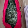 Christmas Tree Image 4