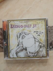 Dinosaur Jr CD  - You're Living All Over Me