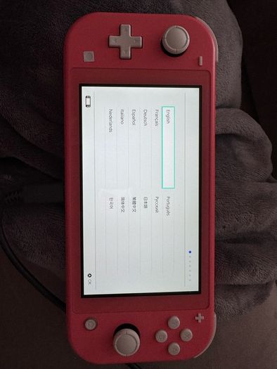 Nintendo Switch Lite