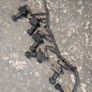 RB20/25/26 Series 2 Coil Packs and Loom Image 2