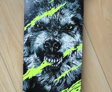 Skateboard 8+