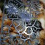 Warhammer Necrons Image 4