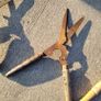 Antique trio of Garden shears Image 2