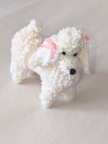 depicting a white poodle